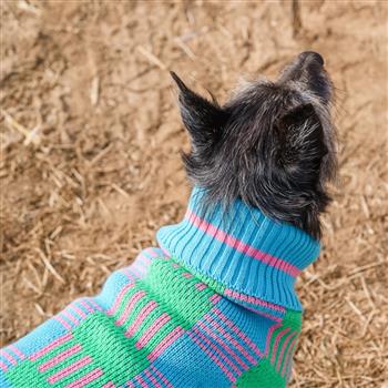 Margate Gingham Dog Jumper - thumbnail 4