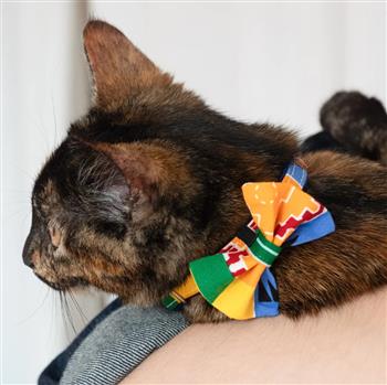 Kente Cat Bow Tie - thumbnail 3