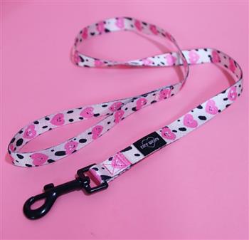 Recycled Plastic Dog Collar & Leash Set - thumbnail 4