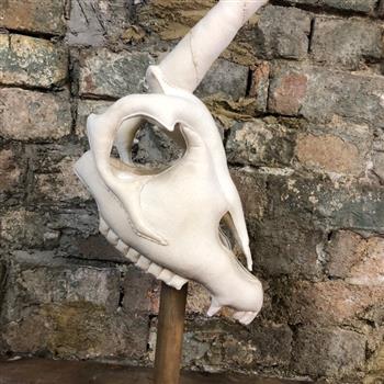 Vegan Unicorn Skull - thumbnail 4