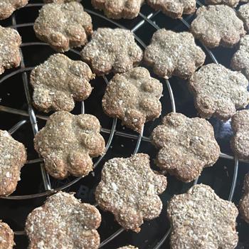 Dog Protein Powder Treat Pack - thumbnail 5