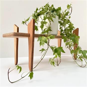 The Runway Shelf - thumbnail 0