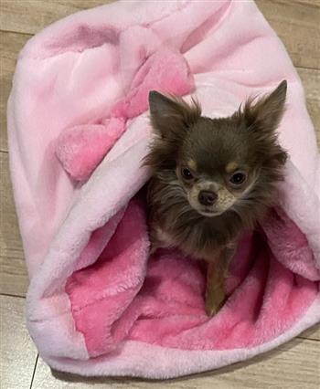 Baby Pink Snuggle Sack - thumbnail 4