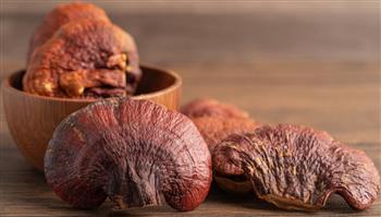 Reishi Triple Extract Tincture - thumbnail 4