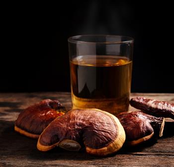 Reishi Triple Extract Tincture - thumbnail 2