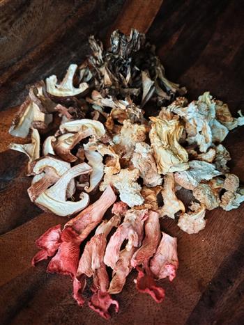 Dried Mixed Mushrooms - thumbnail 3
