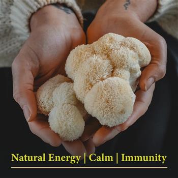 Protect - thumbnail 6