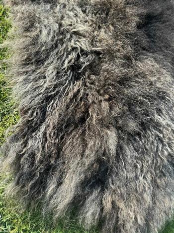 Iceland Sheep Rug - thumbnail 2