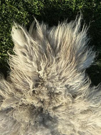 Herdwick Wool Super Soft Rug - thumbnail 4