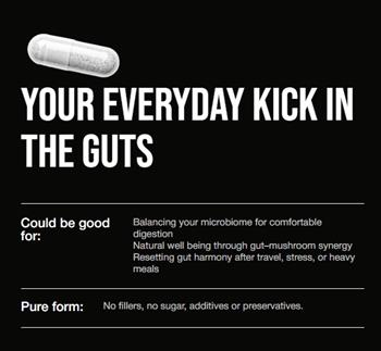 Reishi Mushroom Capsules - thumbnail 3