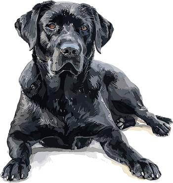 Dog Breed mug - thumbnail 0