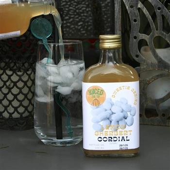 Lemon Sherbet Cordial - thumbnail 2