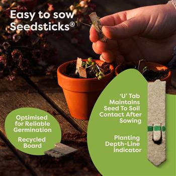 Thank You Matchbox Seedsticks Set - thumbnail 7