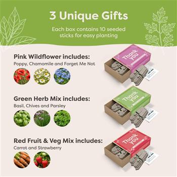 Thank You Matchbox Seedsticks Set - thumbnail 2