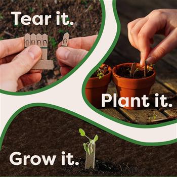 Indoor Veg Garden Kit - thumbnail 2