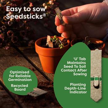 Indoor Veg Garden Kit - thumbnail 5