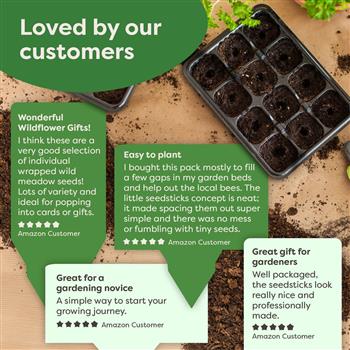 Insect Hotel Grow Kit - thumbnail 4