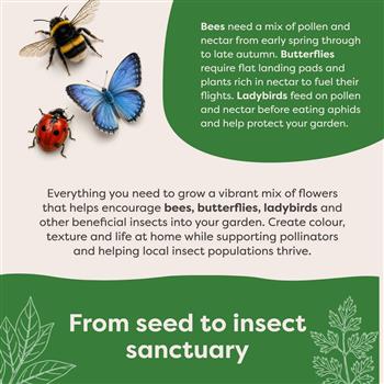 Insect Hotel Grow Kit - thumbnail 3