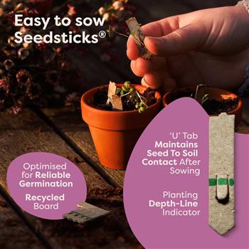 Blooming Flower Seeds Starter Kit - thumbnail 5