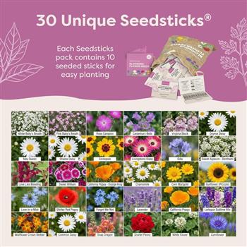 Blooming Flower Seeds Starter Kit - thumbnail 2