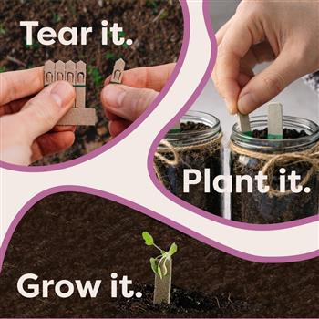 Blooming Flower Seeds Starter Kit - thumbnail 10