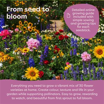 Blooming Flower Seeds Starter Kit - thumbnail 3